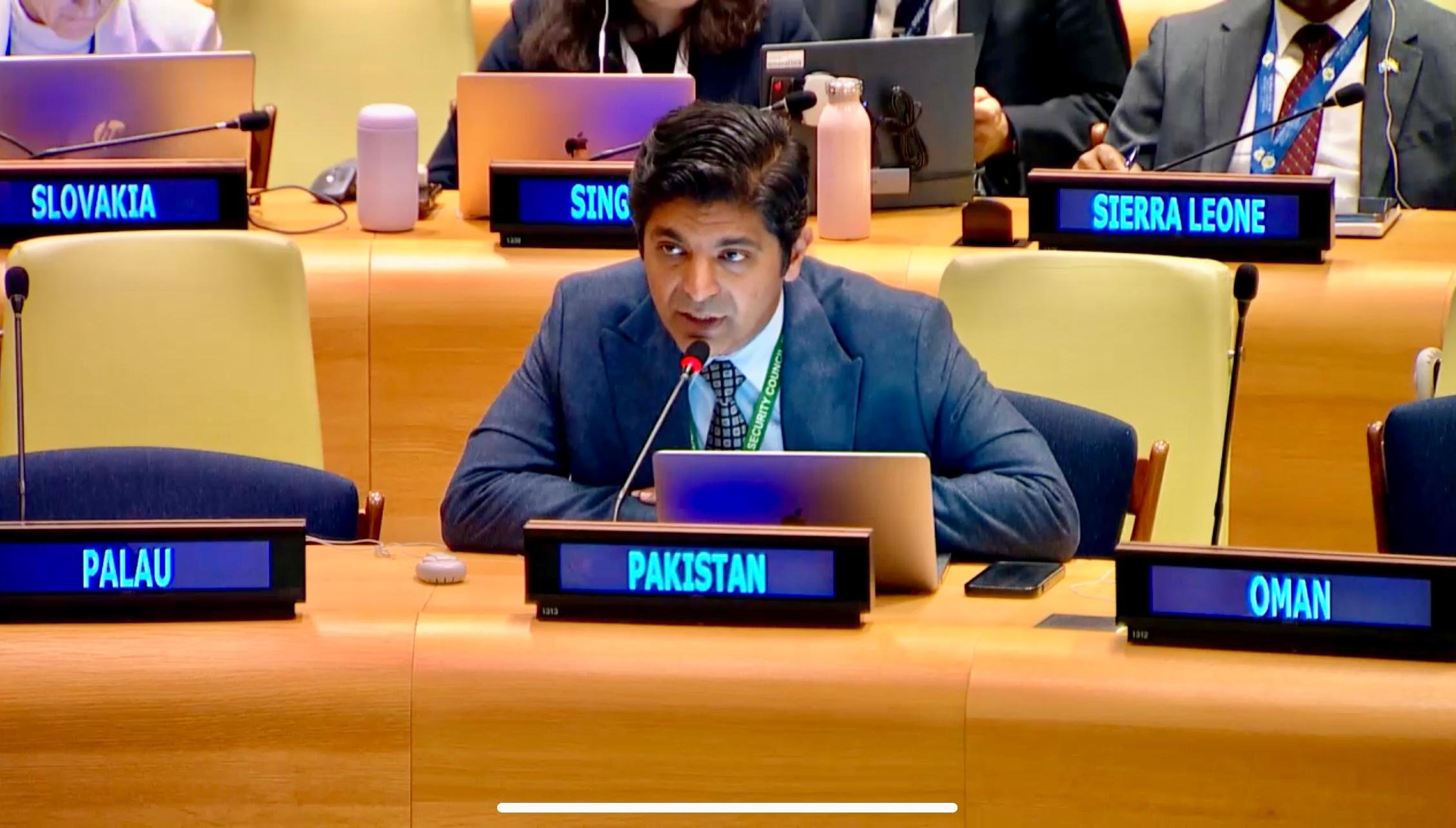 Pakistan highlights Indian 'state terrorism' at UN 